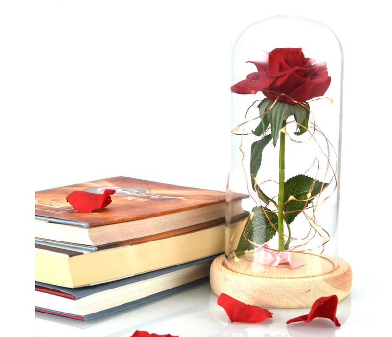 Mothers Day Gift Enchanted Forever Rose Flower In Glass LED Light Home Decoration - Trendy Treasures