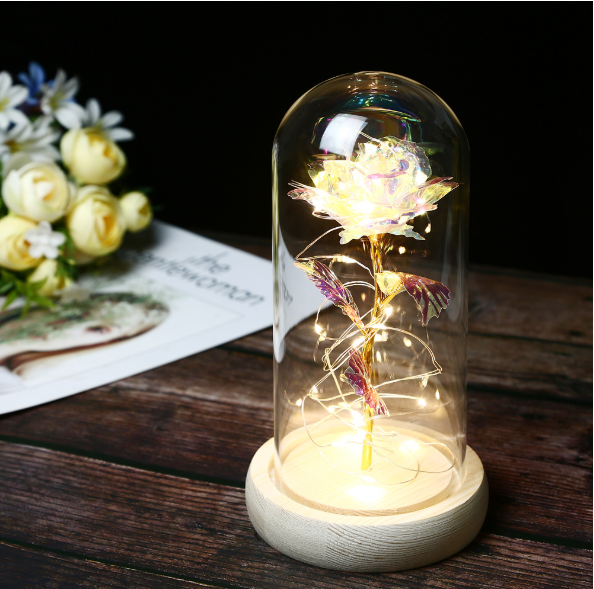 Mothers Day Gift Enchanted Forever Rose Flower In Glass LED Light Home Decoration - Trendy Treasures