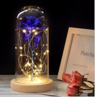 Mothers Day Gift Enchanted Forever Rose Flower In Glass LED Light Home Decoration - Trendy Treasures