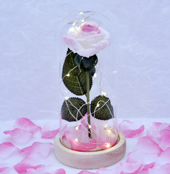 Mothers Day Gift Enchanted Forever Rose Flower In Glass LED Light Home Decoration - Trendy Treasures