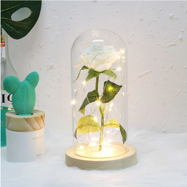 Mothers Day Gift Enchanted Forever Rose Flower In Glass LED Light Home Decoration - Trendy Treasures