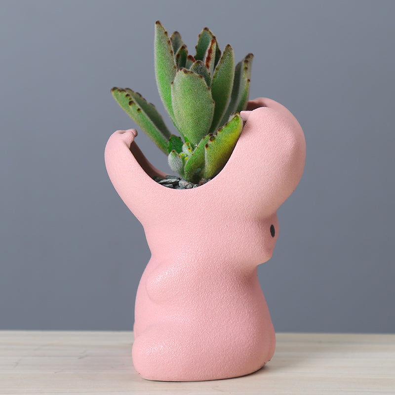 Gardening creative succulent flower pot - Trendy Treasures